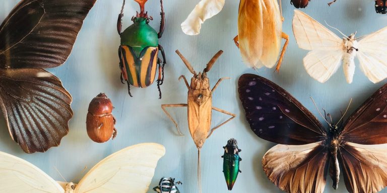 file-20241212-17-l5ml4l