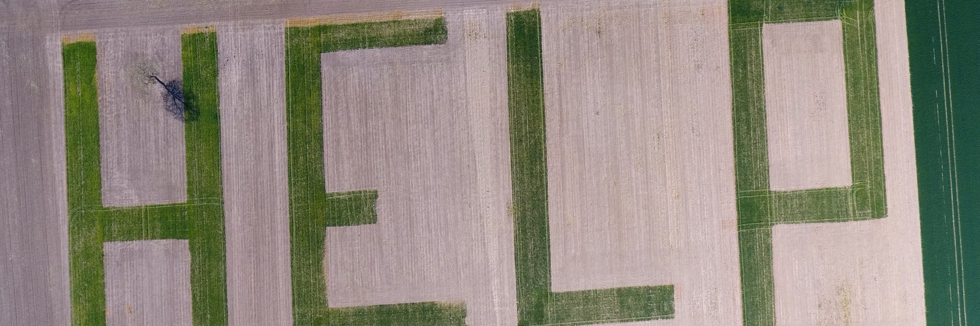 file-20251117-56-ctz4gh