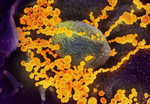 948ef598-6373-4e7c-a5a1-96eade93cd13