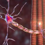 3063caed-f62a-4624-97d7-9f361b6ade3d