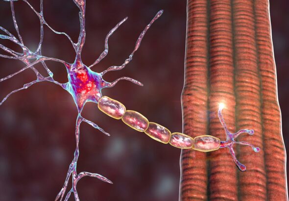 3063caed-f62a-4624-97d7-9f361b6ade3d